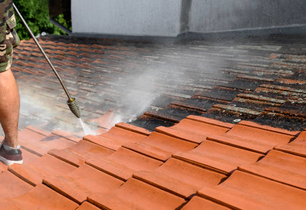  Roanoke, IL Pressure Washing Pros