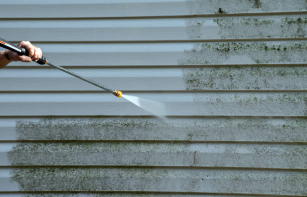 Best Pressure Washing Company Near Me  in Roanoke, IL