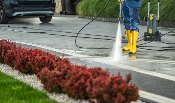 Best Pressure Washing Cost  in Roanoke, IL