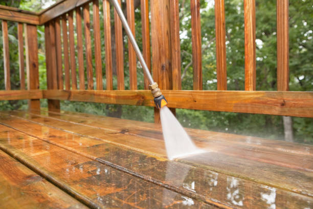 Best Local Pressure Washing Services  in Roanoke, IL