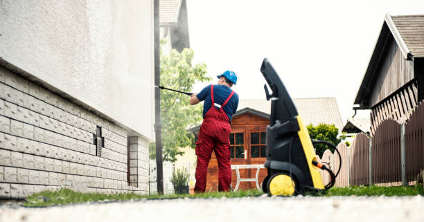 Best Affordable Pressure Washing  in Roanoke, IL